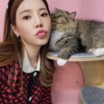 Sunny Instagram - 써니의 #월간멍냥 잠시후 7시에 만나요!!!!!!♡