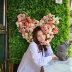 Sunny Instagram - #월간멍냥 오늘은 #뚱냥이 연구소!! 집사님들 모여라~!!!!! 서른 마리의 냥이들과 랜선 파티 할 사람들 모두모두 모여라~!!!!!