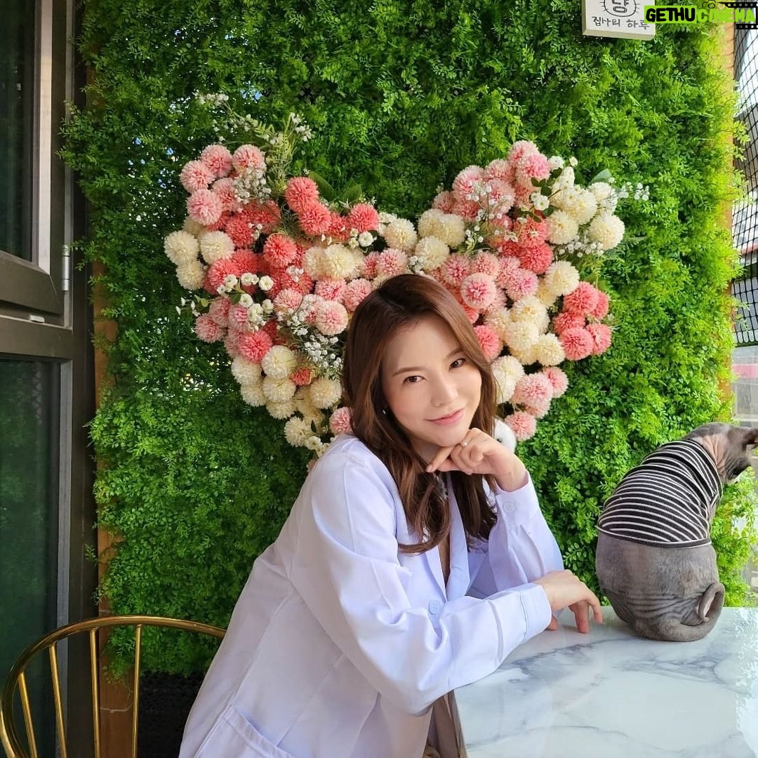 Sunny - 205.9K Likes - #월간멍냥 오늘은 #뚱냥이 연구소!! 집사님들 모여라~!!!!! 서른 마리의 냥이들과 랜선 파티 할 사람들 모두모두 모여라~!!!!!