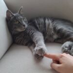 Sunny Instagram - 후.... 후추야..... 놔줄래?.....🥺 #후추