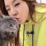 Sunny Instagram – 후추랑 뽑뽀~♡ #후추 #행복한뚱냥이 #뽀뽀쟁이