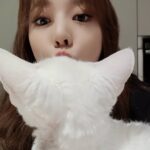 Sunny Instagram - 소금이는 뒷통수까지 귀여워 #소금