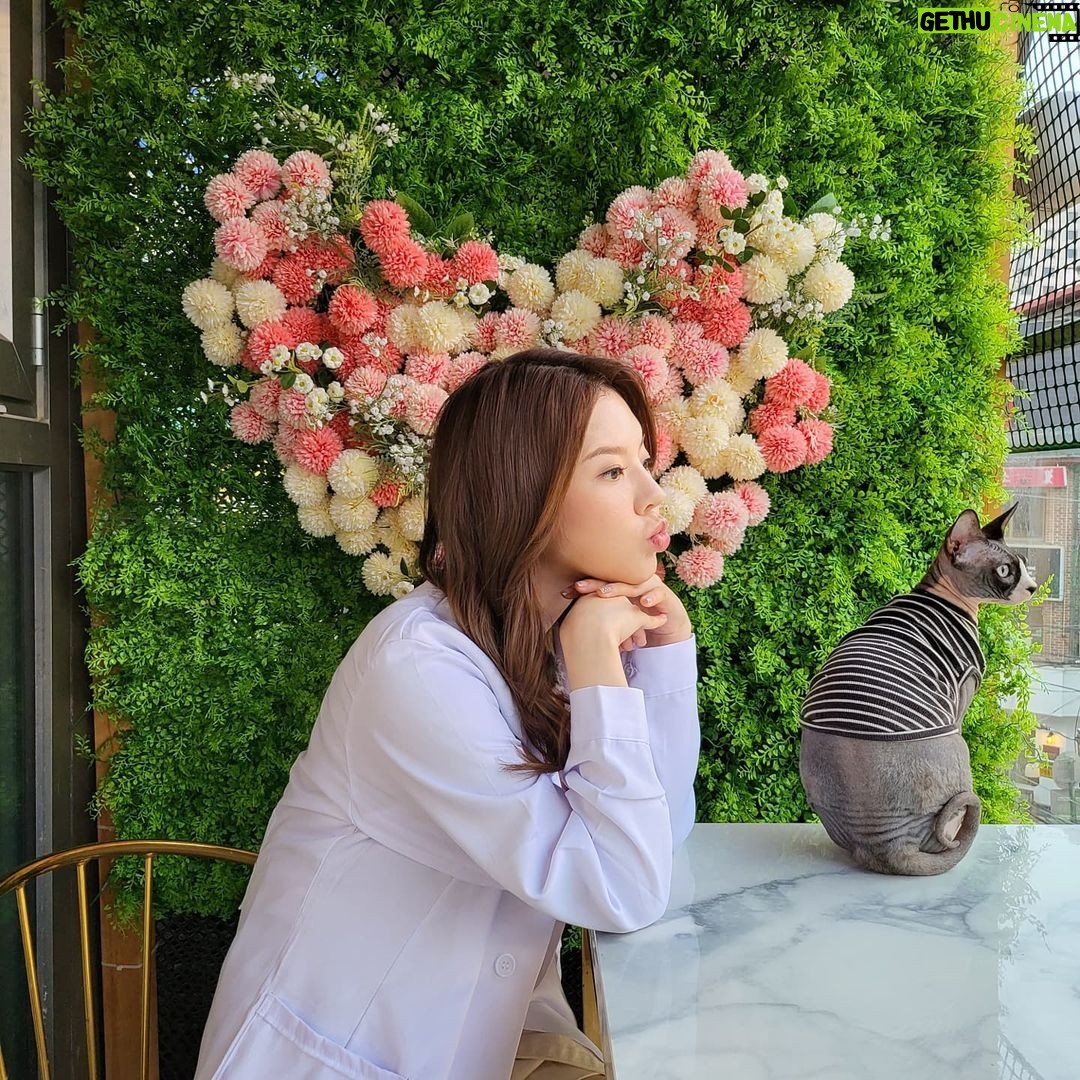 Sunny - 205.9K Likes - #월간멍냥 오늘은 #뚱냥이 연구소!! 집사님들 모여라~!!!!! 서른 마리의 냥이들과 랜선 파티 할 사람들 모두모두 모여라~!!!!!