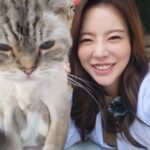 Sunny Instagram - #월간멍냥 오늘은 #뚱냥이 연구소!! 집사님들 모여라~!!!!! 서른 마리의 냥이들과 랜선 파티 할 사람들 모두모두 모여라~!!!!!