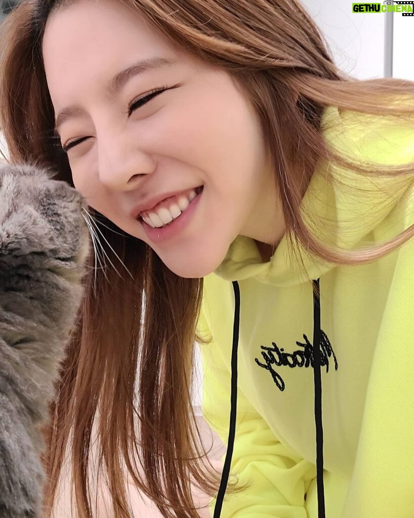 Sunny Instagram - 후추랑 뽑뽀~♡ #후추 #행복한뚱냥이 #뽀뽀쟁이