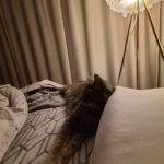 Sunny Instagram - 계속 집에 있으니까 사진을 안찍게돼서ㅋㅋㅋㅋㅋㅋ