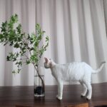 Sunny Instagram - 소금아~ 어디로 모실까 새친구....☺