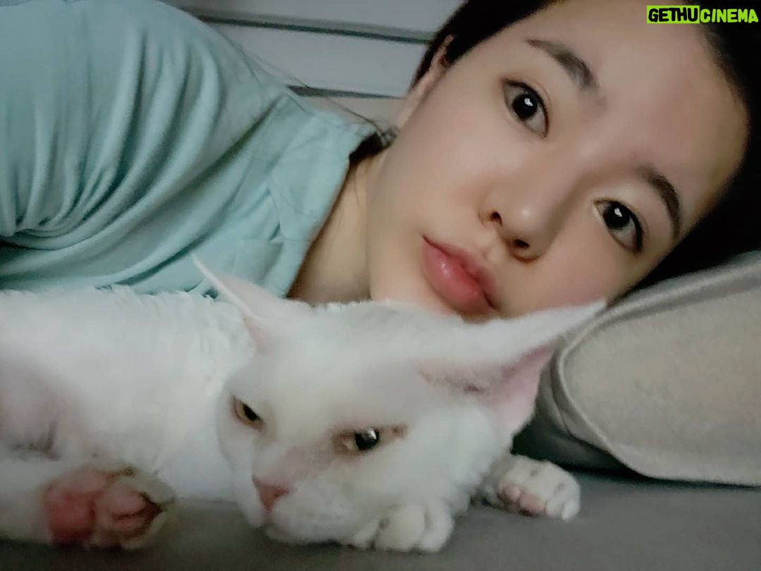 Sunny Instagram - 집에서 뭐하긴요 그냥 누워있지요 #집순이는누워만있어도 #24시간이모자라 #넷플릭스봐요 #웹툰봐요 #네눈아파요