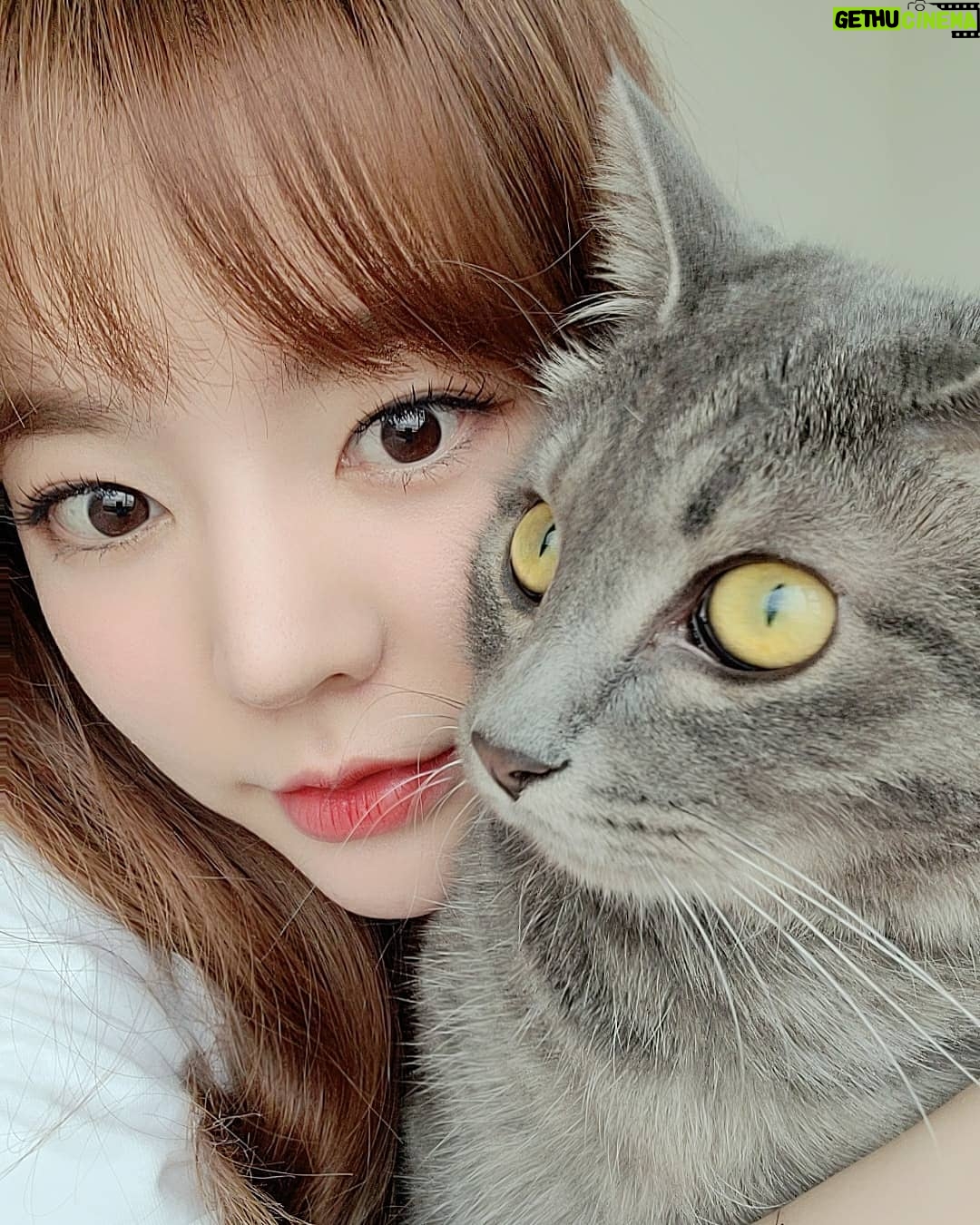 Sunny - 200.4K Likes - #후추 는 후츄츄츗