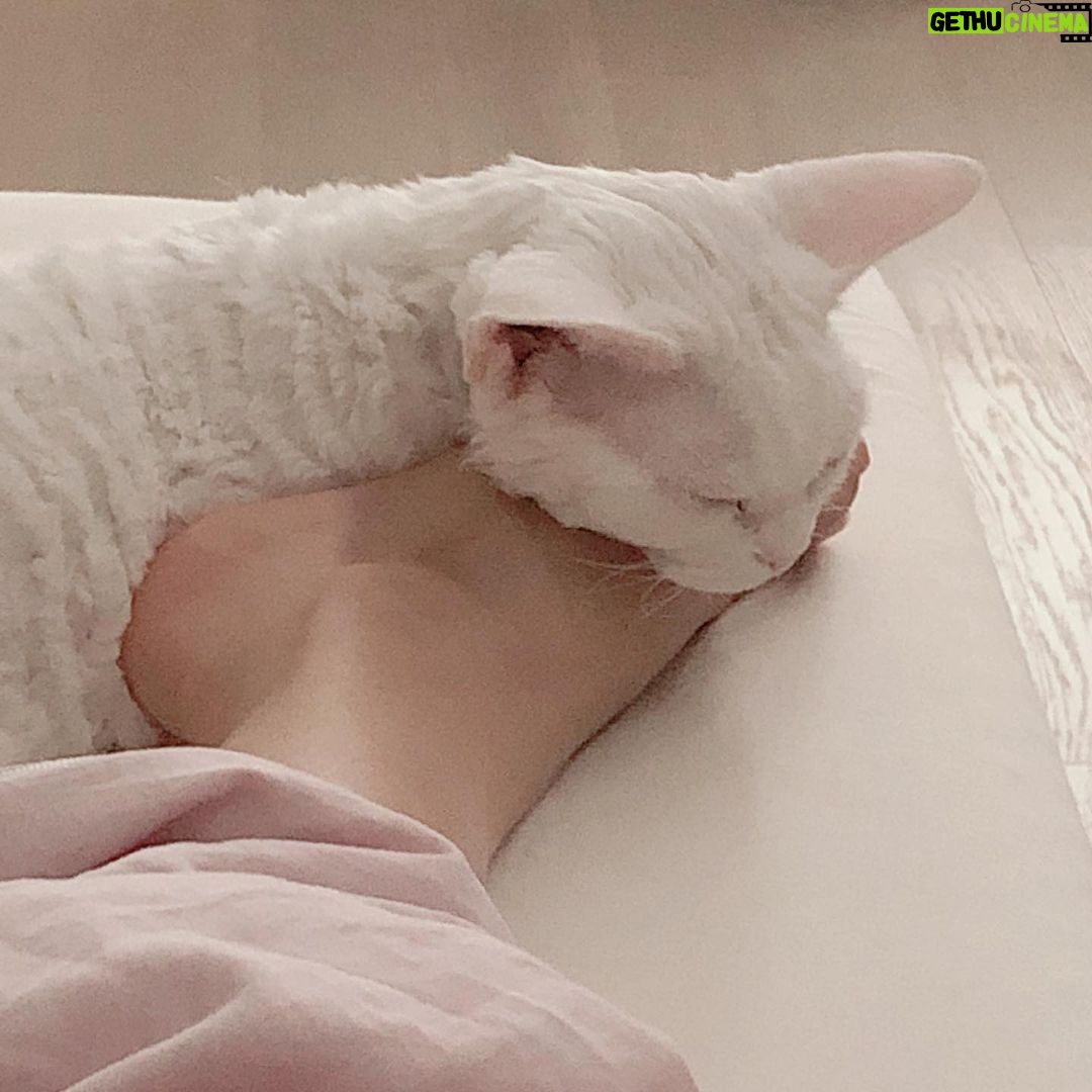 Sunny Instagram - 소금아 엄마 자세 좀 바꾸면 안될까?.... 안되지?! 그지?!?! 네네 내가 미안해요~ 😅 #소금 #껌딱지