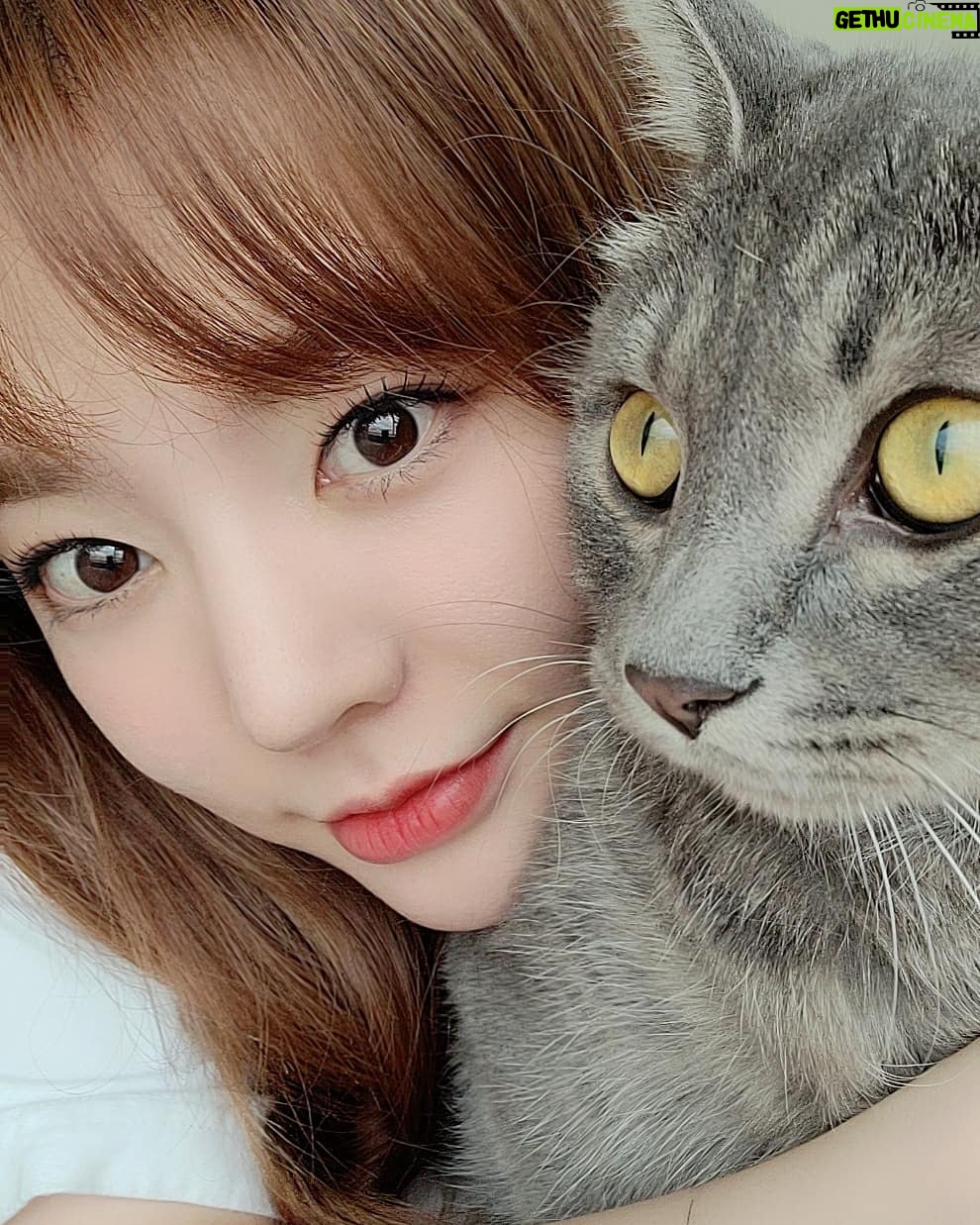 Sunny - 200.4K Likes - #후추 는 후츄츄츗