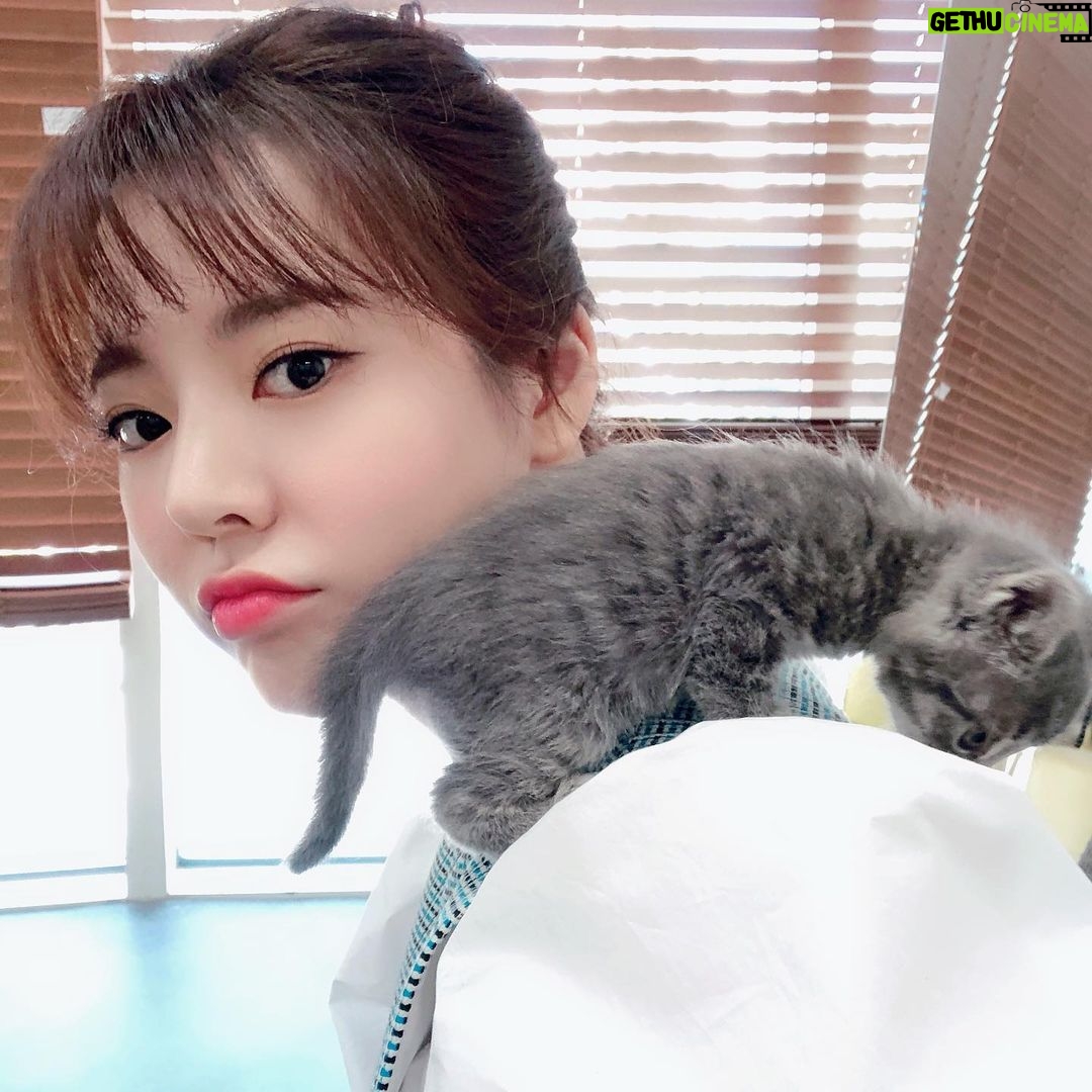 Sunny - 204K Likes - 대놓고 “소원들 주접 배틀”이 보고 싶어서 올리는 #옛날사진털이!!!! #심심해서..... #뭐라고안할테니까 #맘껏해봐