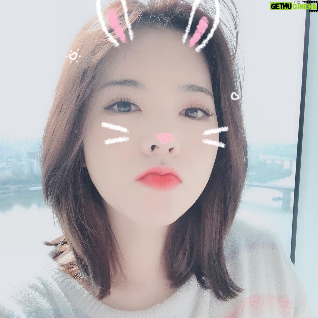 Sunny - 204K Likes - 대놓고 “소원들 주접 배틀”이 보고 싶어서 올리는 #옛날사진털이!!!! #심심해서..... #뭐라고안할테니까 #맘껏해봐