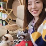 Sunny Instagram - 냥냥이들이랑 놀사람~ 여기여기 모여라!!!!! #월간멍냥 #너희중에스파이가있어🤫