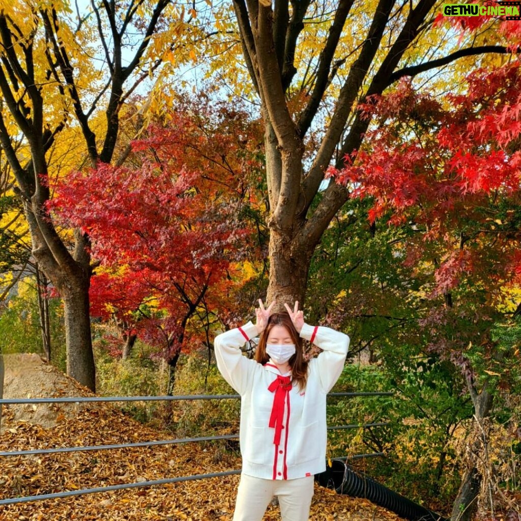 Sunny Instagram - 막바지에 즐기는 단풍놀이~🍁🍂 photo by 아빠 📸🥰
