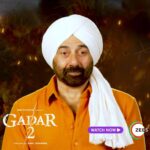 Sunny Deol Instagram – Paaji ne bola dekho, toh dekho. No excuses allowed. 😤
Watch this big hit, #Gadar2 streaming now on #ZEE5

#Gadar2OnZEE5 

@iamsunnydeol @ameeshapatel9 @iutkarsharma @anilsharma_dir @anilsharmaprod @shaktimaan6963  @shamkaushal09 @mithoon11 @shabinakhanofficial @quadri.sayeed @simratkaur_16 @manishwadhwa.in @hellomontysharma @mrgravitas @zeemusiccompany @zeecinema @zee5global @zeestudiosofficial @gadarmovie_official @shariq_patel @manish_kalra_