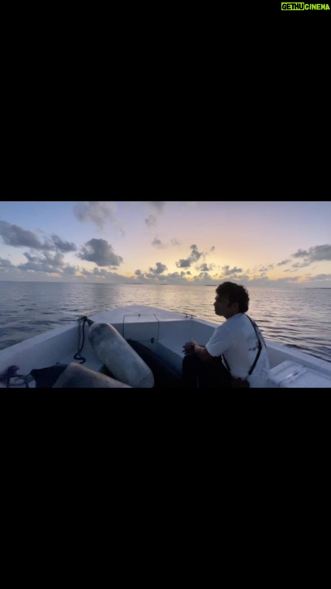 Sunny Wayne Instagram - Cruising to the Horizon