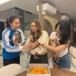 Sunshine Cruz Instagram - Happy 11th Birthday (belated) to our OG paw baby, star. We love you our mataray na stariray! 🐾🐶🎂❤️