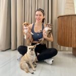 Sunshine Cruz Instagram - I love them so much!🐶🐾❤️