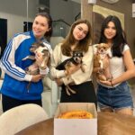 Sunshine Cruz Instagram - Happy 11th Birthday (belated) to our OG paw baby, star. We love you our mataray na stariray! 🐾🐶🎂❤️