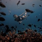 Supassra Thanachat Instagram - My dream of being a mermaid came true..🧜🏻‍♀️✨ Thank you P’Beck @bigoceanworld for making it happen! And my supporter and lovely instructor @k.extreme.travel 💖 Koh Tao, Thailand