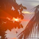 Supassra Thanachat Instagram – 🏝️🐢💖 Coffee in the morning, you and the sun
There’s a brown hue in your eyes
How pretty it is
I think I’m in love.. Kohtao