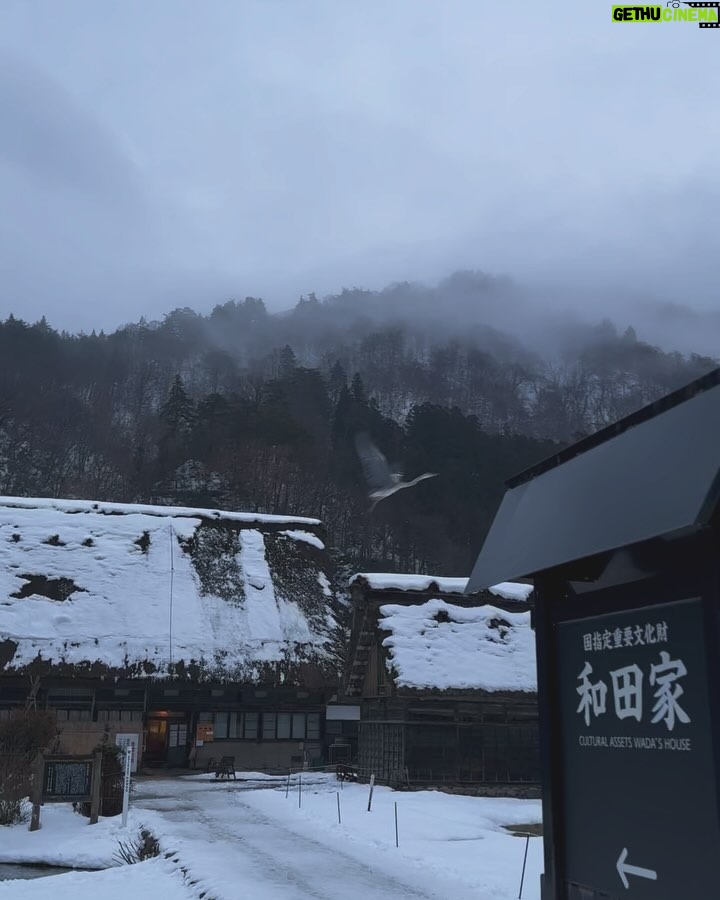 Suppasit Jongcheveevat Instagram - The boy and the heron ☃️❄️ 白川郷(Shirakawa-go)