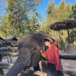 Suppasit Jongcheveevat Instagram - Elephant vibes only 🐘😆 ปางช้างแม่ริม Maerim Elephant Home