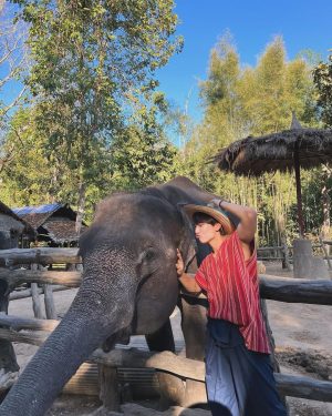 Suppasit Jongcheveevat Instagram - Elephant vibes only 🐘😆