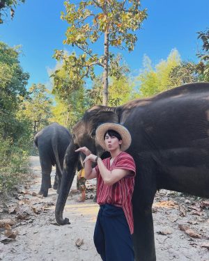 Suppasit Jongcheveevat Instagram - Elephant vibes only 🐘😆