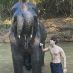 Suppasit Jongcheveevat Instagram - Elephant vibes only 🐘😆 ปางช้างแม่ริม Maerim Elephant Home