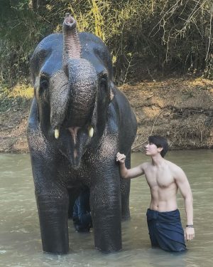 Suppasit Jongcheveevat Instagram - Elephant vibes only 🐘😆