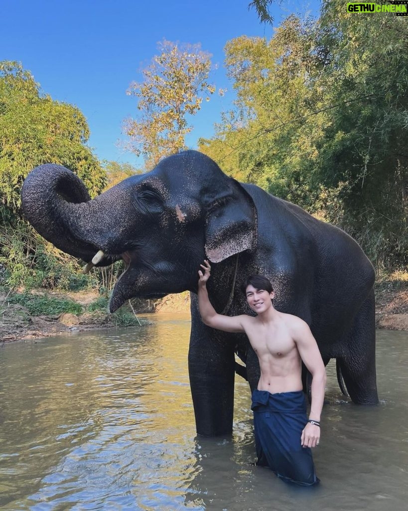 Suppasit Jongcheveevat Instagram - Elephant vibes only 🐘😆 ปางช้างแม่ริม Maerim Elephant Home