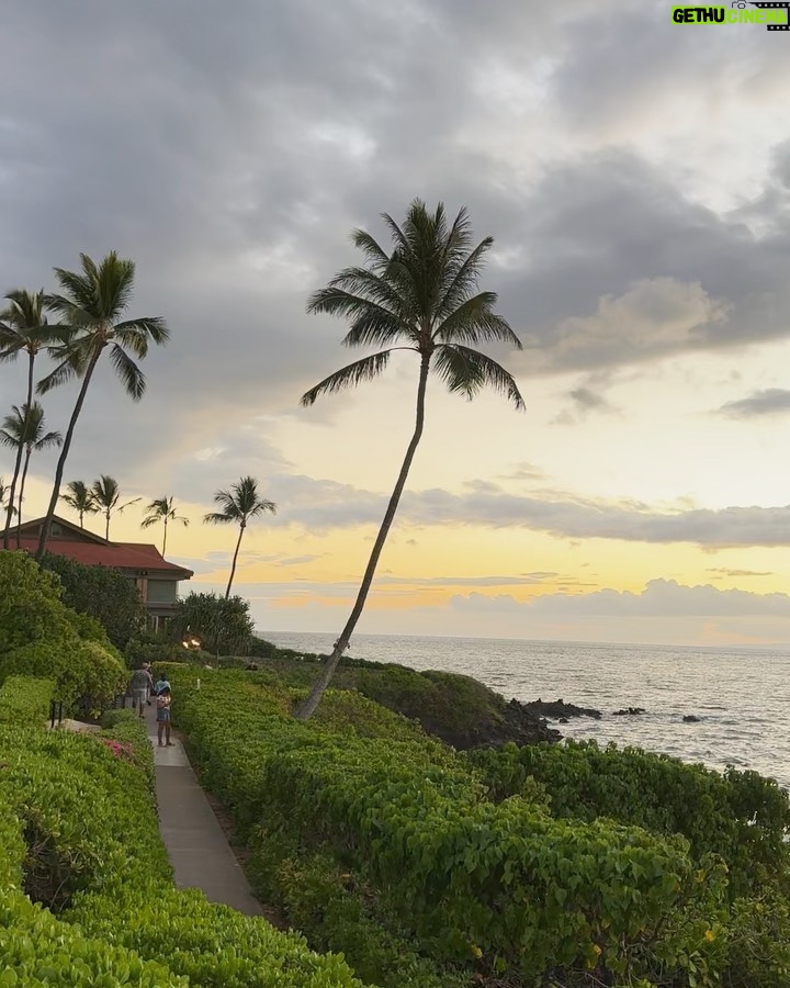 Suppasit Jongcheveevat Instagram - Aloha 🏝️ Four Seasons Hotel Maui Hawaii