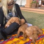 Susana Giménez Instagram - Disfrutando de una tarde divina de sol con los nuevos habitantes de la casa. ❤️❤️❤️❤️ #animalkigdom #doglover #susanagimenez #cute En Mi Casa