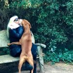 Susana Giménez Instagram - Con Beto a los besos. 😂😂😂 Lo estoy felicitando porque es buen padre y buen marido. 😂😂😂😂😂 #animallover #susanagimenez #cute #doglover #love En Mi Casa