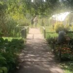 Susana Giménez Instagram - Llego el otoño! Y hay que preparar el jardín para los primeros frios. #susanagimenez #otoño #huerta #jardin Otoño