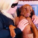 Susana Giménez Instagram - Conversando con Rita para convencerla de que se porte un poco mejor 🙏🐶 #susanagimenez #doglover Uruguay, Punta Del Este