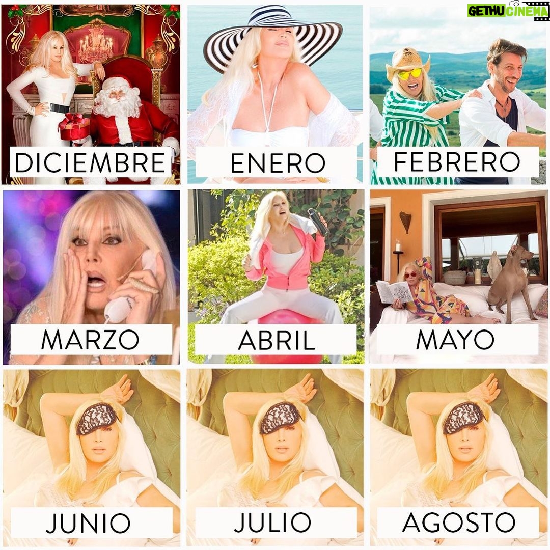 Susana Giménez Instagram - Según pasan los meses de este 2020 tan laaaaargoooooo #2020 #Mood #cuarentena #susanagimenez 2021