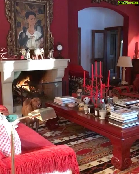 Susana Giménez Instagram - Cuando empieza a bajar el sol llega el momento de sentarse frente a la chimenea, con el fuego prendido, un buen libro y con todos a mi alrededor....No se puede pedir más..... #moments #love #susanagimenez #feliz #hogar #fuego #home