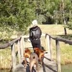 Susana Giménez Instagram - Recién llegada feliz, recorriendo La Mary con mis perros, dándole de comer a los patos, sin imaginar que esa misma noche me iba a caer de la escalera. #doglover #pde #susanagimenez #animalkindom #animallover Punta del Este, Uruguay