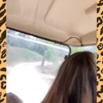 Susana Giménez Instagram - EL MISTERIO DEL LAGO Hace años que me intriga un sendero muy marcado en el bajo que bordea el lago del fondo de casa. Buscamos huellas con gente que sabe distinguirlas. Me metí entre las plantas (que ahí crecen salvajes) a ver si encontrába alguna cueva. Pusimos cámaras que registran los movimientos en los árboles para ver qué era y NADA. Ahora resulta que desaparecieron 8 patos, quedó uno solo pobrecito que está aterrado... Llamé a un veterinario amigo que es rescatista y trabaja en una reserva para pedirle ayuda. Me contó que a partir de la pandemia aparecieron varios gatos monteses en la ciudad y dijo que no le extrañaría que se hubieran comido a los patos. Me propuso poner jaulas con carne en el lago para atraparlos y devolverlos a su hábitat. Hace días que me despierto con la intriga y vamos con @patogimenez volando al lago para ver qué encontramos. Pero como vieron hasta ahora encontramos cualquier cosa menos un gato montés! Pobre gallineta! #wildlife #lamary #susanagimenez #aventurasenlamary #aniamals #nature Uruguay, Punta Del Este