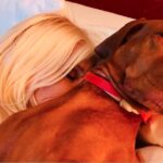Susana Giménez Instagram - Feliz Día del Animal! Para todos mis compañeros inseparables de vida: 👉Kiko, que está conmigo en la foto. 👉Thelma y Beto que me esperan en La Mary. 👉Pascual Enrique, que me acompaña, pero no me da ni cinco de bolilla 🤣🤣🤣🤣 👉Beba, Clara, Rosa, Indio 1, Indio 2 , Jazmín y Cholo que ya se fueron. 👉Y Rita, que mientras me espera pasa la cuarentena con su madre y sus hermanos hasta que podamos irnos a Uruguay. #animallover #animalkindom #doglover #susanagimenez