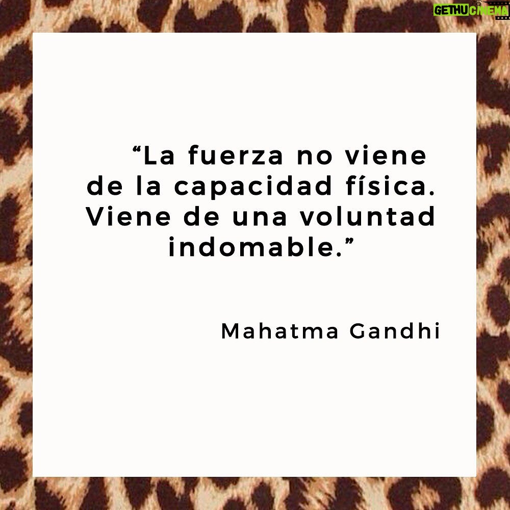 Susana Giménez Instagram - Quedémonos en casa!!! Es la única manera de combatir el avance del virus. Demostremos lo que somos capaces de hacer cuando decidimos algo todos juntos. #coronavirus #yomequedoencasa #somosresponsables #codvid19 #emergenciasanitaria #salud #susanagimenez