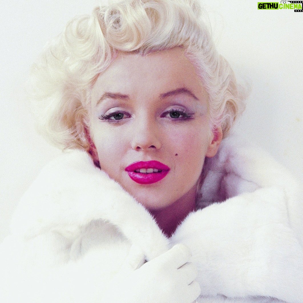 Susana Giménez Instagram - “Si hubiese seguido las reglas establecidas, no hubiera llegado a nada” #marilynmonroe #quotes #nothingisimposible #wensday #susanagimenez