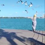 Susana Giménez Instagram – Me encanta darle de comer a las gaviotas a la mañana! Miami South Beach