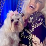 Susana Giménez Instagram – 🐶🔥🔥 Mañana 8Pm est!!! 🔥🔥🐶 #TV 📺