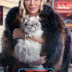 Suzan Negm ElDein Instagram - #تيزر #النجمة #سوزان_نجم_الدين #رمضان_2024 #الصديقات #قطط #قبنض_ميديا
