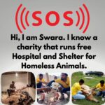 Swara Bhaskar Instagram – Do the animals they rescue belong to them??? 
No right, they belong to the society, to the ecology, to the mother earth.

It’s everyone’s moral responsibility to push a good cause ahead.🙏🙏🙏

Please do your bit, please donate at least 400/- to buy the land on which they have already built a hospital and shelter.

Please donate:

Gpay: 9913355932
Gpay/Paytm/ PhonePe: 9724000939

UPI
rrsafoundation-2@okicici
rrsafoundation-2@oksbi
rrsafoundation1100@okicici

BANK ACCOUNT DETAILS
AC Name : RRSA Foundation 
AC No : 99909724000939
IFSC : HDFC0001244
HDFC Bank, 1244 Branch Code
Current Account 

OR

Account Name : RRSA Foundation
Account Number : 9811987555
IFSC Code : KKBK0000845
Account type: Current Account
Kotak Mahindra Bank,Anand

Direct Donation Links are on their Instagram Bio ( @rrsaindia ) 
Documents for verification also available on the Website: www.rrsaindia.org.

#swarabhasker #help #support #share