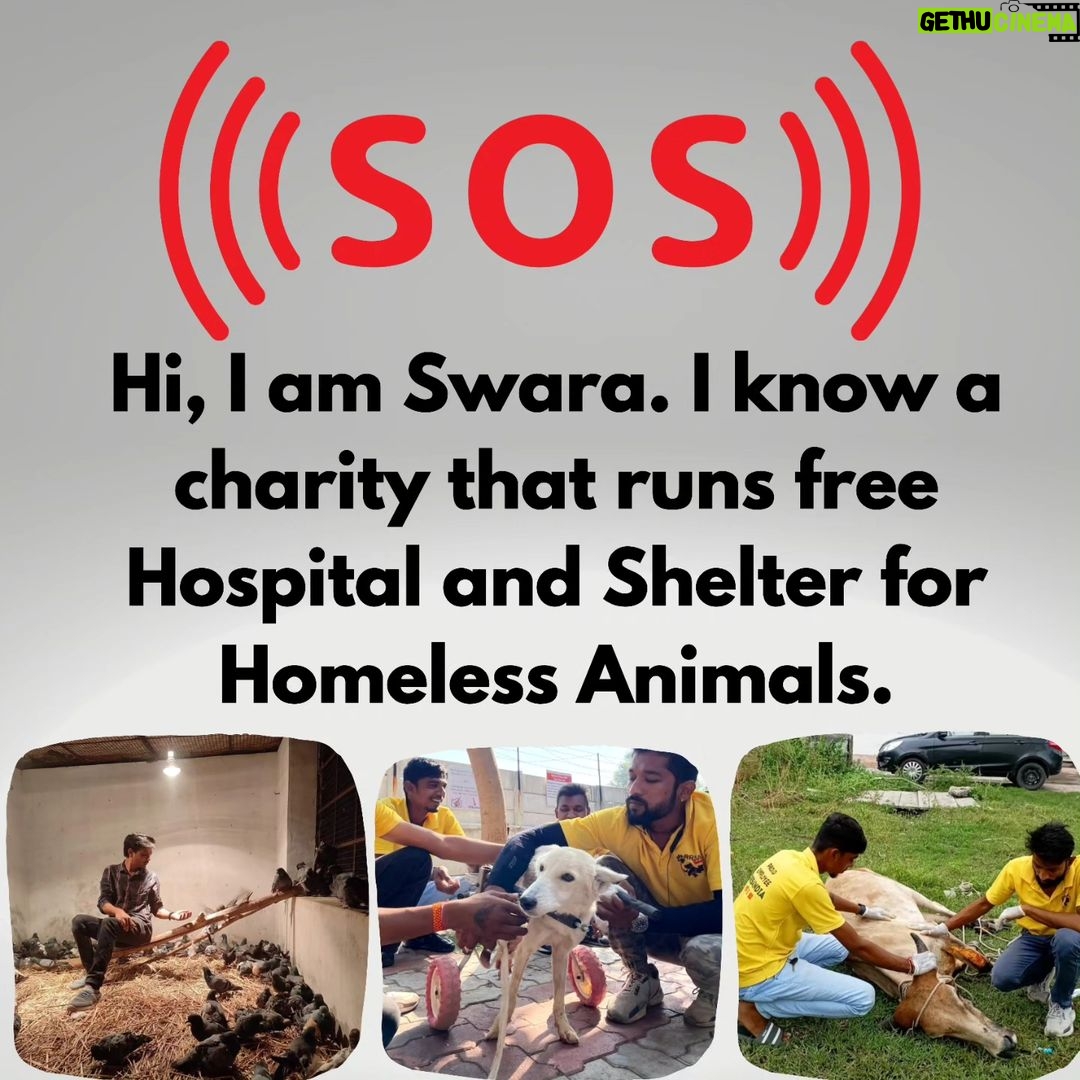Swara Bhaskar Instagram - Do the animals they rescue belong to them??? No right, they belong to the society, to the ecology, to the mother earth. It's everyone's moral responsibility to push a good cause ahead.🙏🙏🙏 Please do your bit, please donate at least 400/- to buy the land on which they have already built a hospital and shelter. Please donate: Gpay: 9913355932 Gpay/Paytm/ PhonePe: 9724000939 UPI rrsafoundation-2@okicici rrsafoundation-2@oksbi rrsafoundation1100@okicici BANK ACCOUNT DETAILS AC Name : RRSA Foundation AC No : 99909724000939 IFSC : HDFC0001244 HDFC Bank, 1244 Branch Code Current Account OR Account Name : RRSA Foundation Account Number : 9811987555 IFSC Code : KKBK0000845 Account type: Current Account Kotak Mahindra Bank,Anand Direct Donation Links are on their Instagram Bio ( @rrsaindia ) Documents for verification also available on the Website: www.rrsaindia.org. #swarabhasker #help #support #share